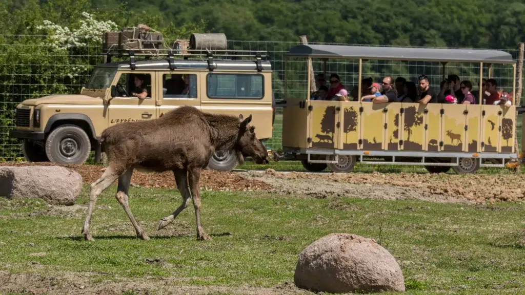 Expédition sauvage Exp Nature au cœur d’un environnement naturel préservé